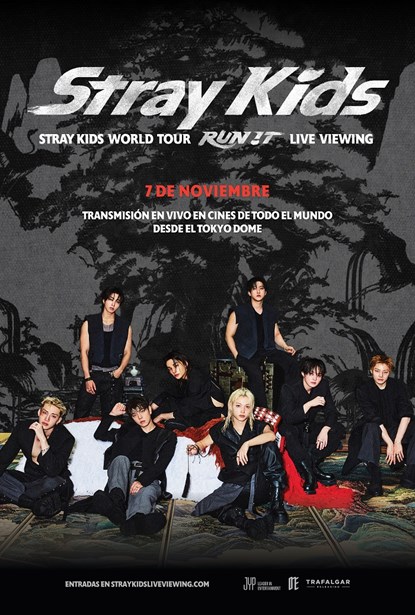 STRAY KIDS WORLD TOUR RUN IT LIVE VIEWING